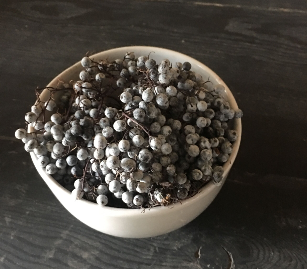 Fresh Elderberries in a bowl