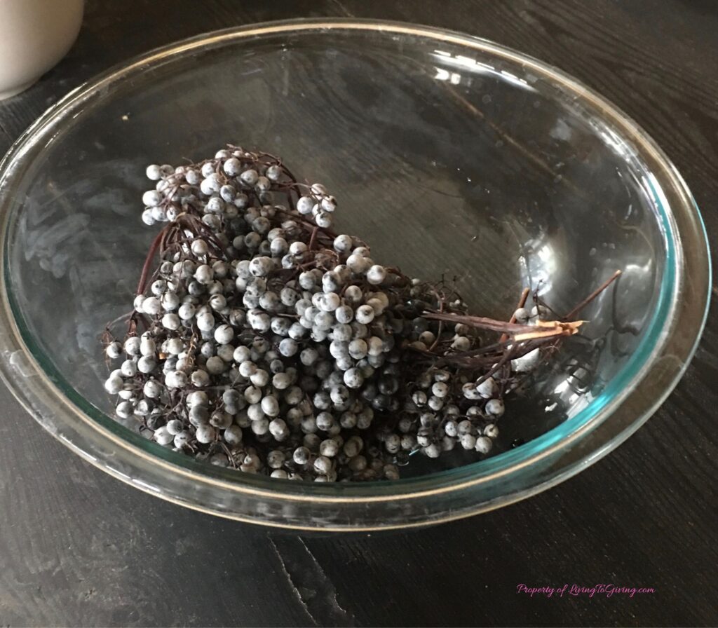 Elderberries on stem in bowl