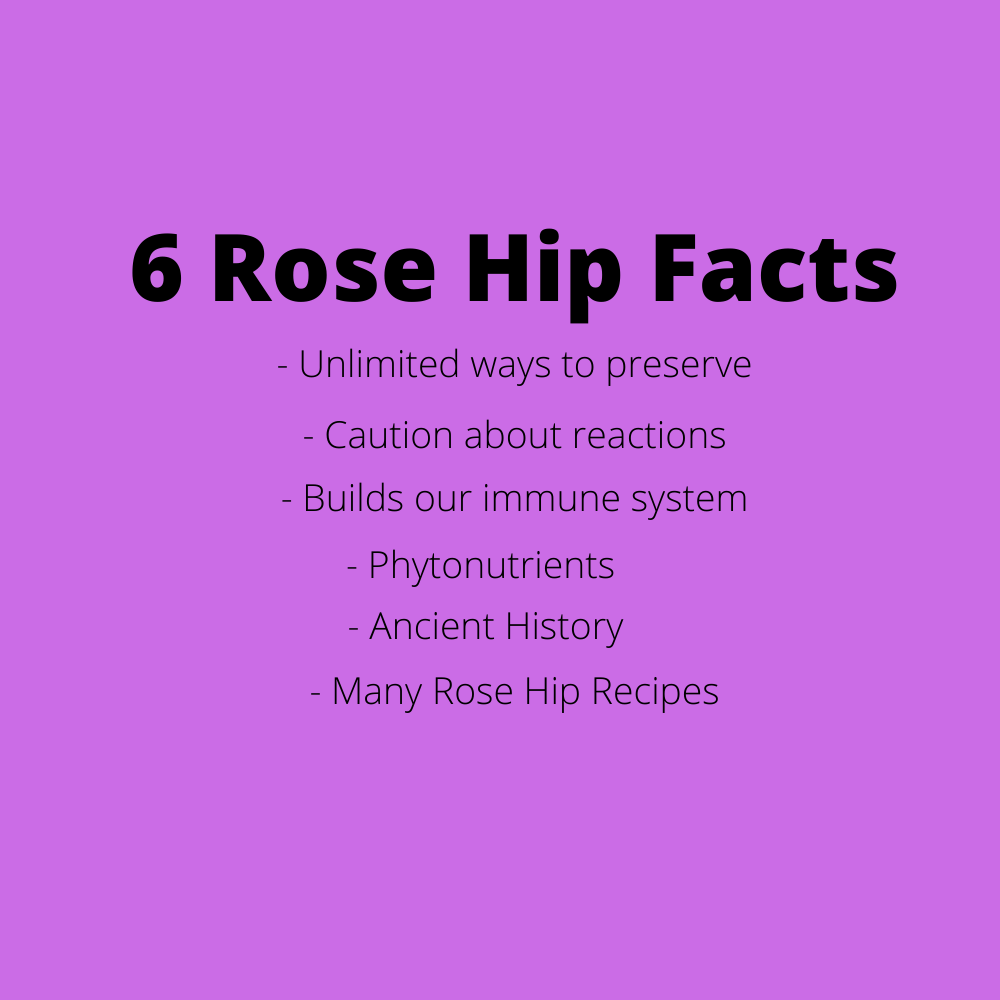 Facts For Rose Hips