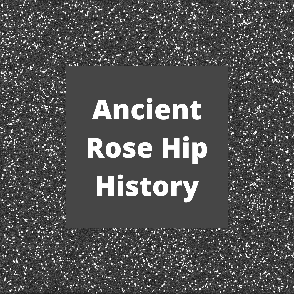The Obscure History of Rose Hips