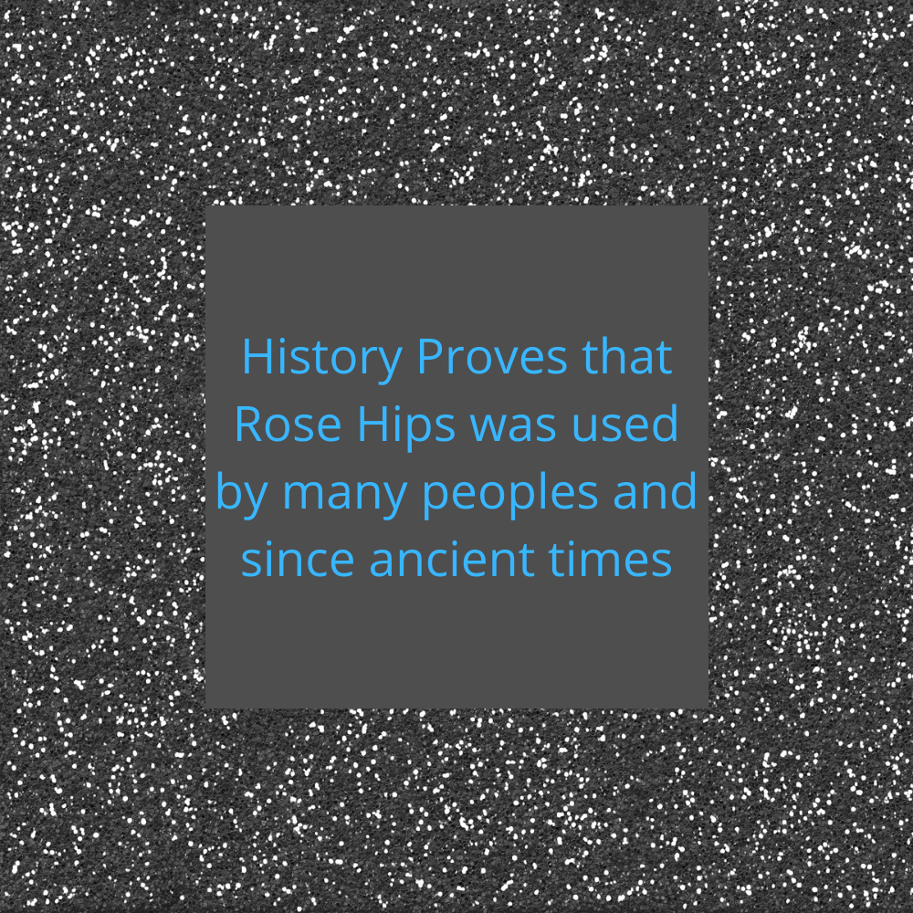 Quote on Rose Hips History