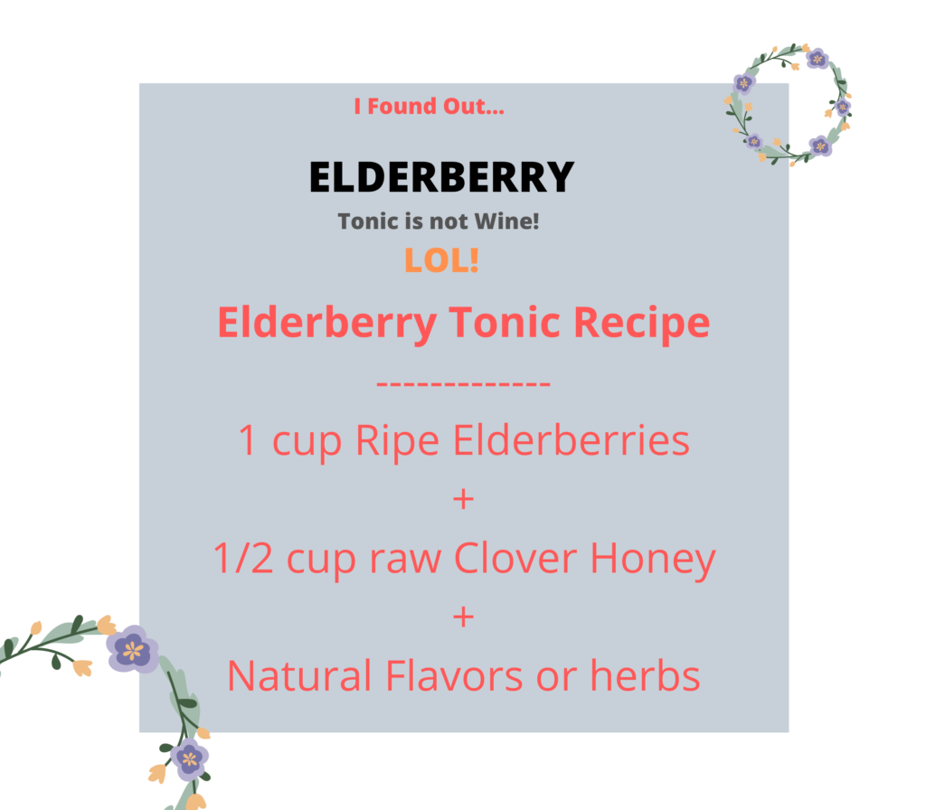 My Elderberry Tonic Recipe