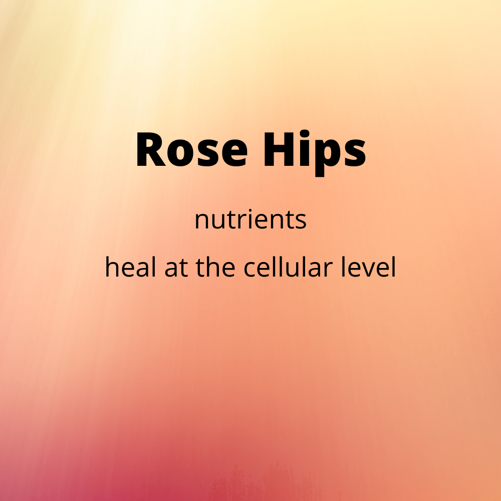 The Role of Rose Hips in Healing Diseases