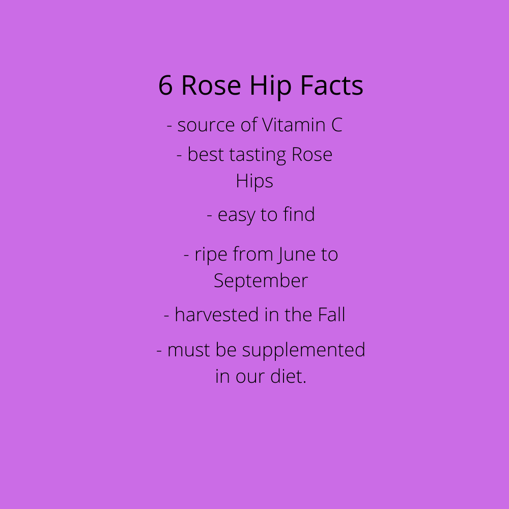 Rose Hip Facts