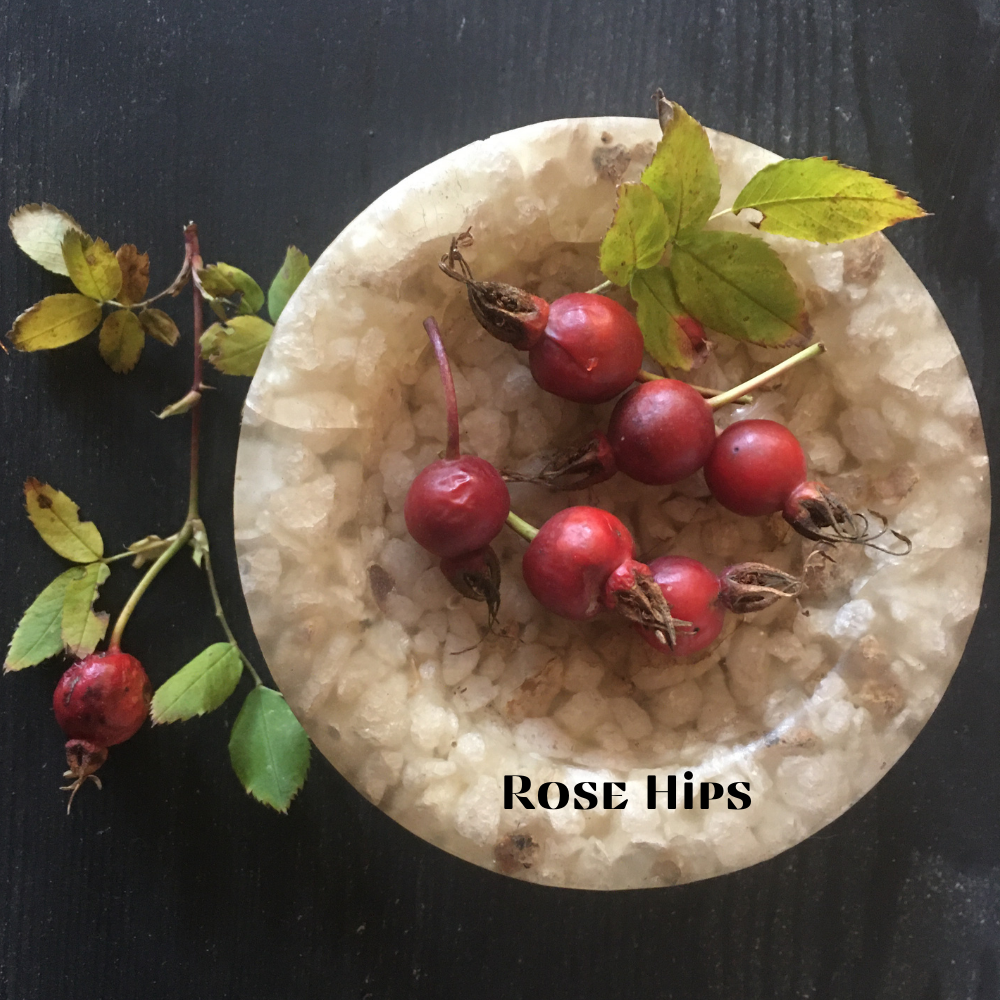 Easy Rose-Hip Recipes – Health Remedies