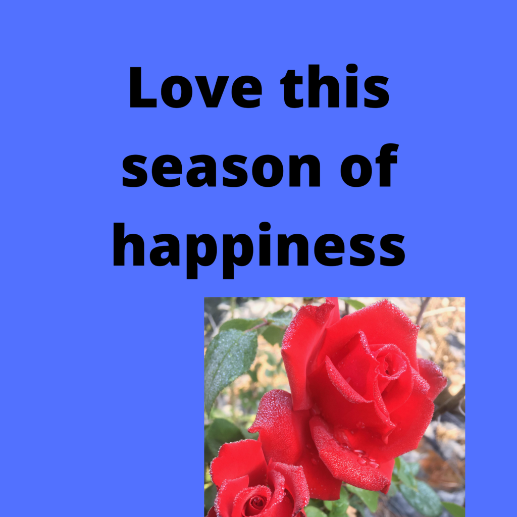 Season of happiness