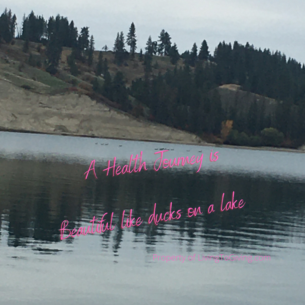 Health Journey - like ducks on a lake