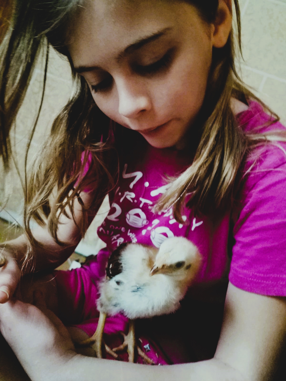 girl-holding-baby-chicken